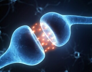 Serotonin Nedir?